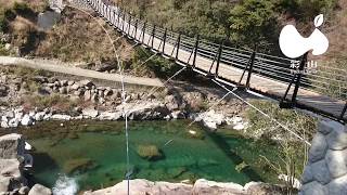 葉っぱの町徳島県上勝町いろどり橋からの勝浦川2月