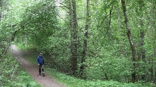 En promenad i Ryrbäckens naturreservat,  Trollhättans kommun