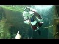 Scuba Santa | California Academy of Sciences