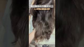 【褪色】６０代のお客様上品な褪色の色がキレイです🤭 #上品 #hair #2024 #color #脱白髪染め #nobleach #独立 #salon #中村チャンネル #エルラ #shorts