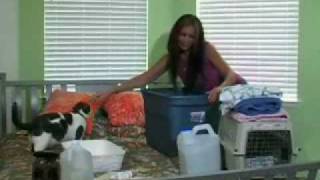 Hurricane Preparedness for Pets.
