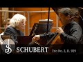 Schubert | Piano Trio No. 2 in E-flat major, op. 100 D.929