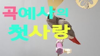 연구대상 흥똘이의 \