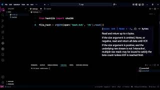 How to Generate a File Hash in Python (SHA256 in 1 Line!) 🔒💻