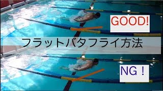 【水泳】フラットバタフライ！これでバタフライのスピードが上がります。