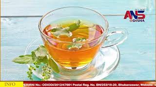 Drink basil tea regularly|| ନିୟମିତ ପିଅନ୍ତୁ ତୁଳସୀ ଚା’, ଭଲ ନିଦ ହେବା ସହ ଦୂର ହେବ ଏହିସବୁ ସମସ୍ୟା||#ansodia