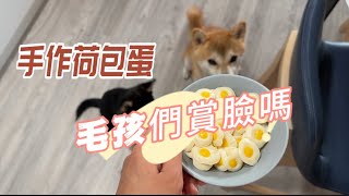 超Easy寵物手做零食荷包蛋 寶寶們賞臉嗎！？