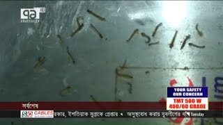 সারা বছরই থাকবে এডিস মশার বিস্তার | ডলার মেহেদী | News | Ekattor TV