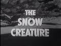 The Snow Creature (1954) [Horror] [Science Fiction]