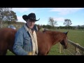 horseback uk help rehabilitate injured troops 18.11.10