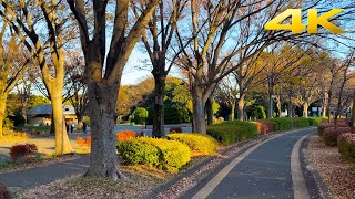 🇯🇵 駒沢オリンピック公園散歩・東京 2021【4K-60fps】