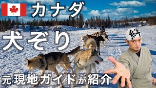 大自然を駆け抜ける天然のジェットコースター！カナダの犬ゾリ　の話