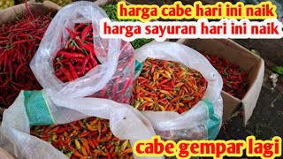 harga cabe hari ini naik lagi#sayuran #usahamenjanjikan jualan cabe#4 peb 2025