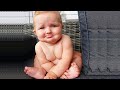Try Not To Laugh With Top Funny Baby Videos of the Year