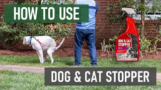 How to Use Dog \u0026 Cat Stopper RTU Spray Repellent [DIY Animal Control]