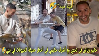 حكيم زياش في تحدي مع أشرف حكيمي في أخطر حديقة الحيونات في دبي و الموت ديال الضحك شنو دار زياش🤣