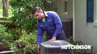 Grass Clippings |How To Avoid Grass Clippings In Your Condenser Unit | Hutchinson