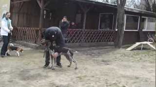 CATALIN and ERIC at handling lesson