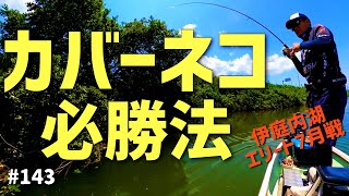 琵琶湖『伊庭内湖エリート優勝の全記録』狙うべきシチュエーション2023.7.23