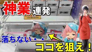 【クレーンゲーム】色んな取り方で最新プライズを大攻略！SPY×FAMILY　プチエットフィギュア　アーニャ・フォージャー vol.2　プレミアムフィギュア　ヨル・フォージャ　私服　ベネクス浦和