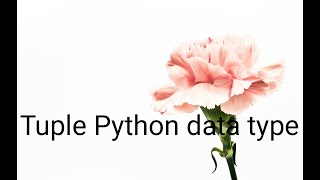 Python Tuples Data Type Tuples Data Type Tuples vs Lists Features of python tuple data type