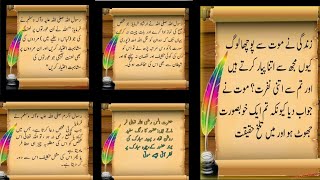 Hazrat Muhammad SAW Ke Aqwal e Zareen in Urdu  -  Quotes ,hazrat muhammad saw quotes in urdu