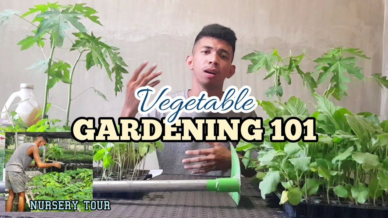 How To Start A Vegetable Garden | Part 1 - YouTube