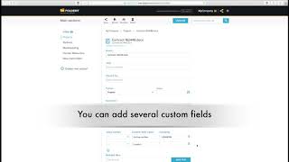 Custom Metadata Fields in Folderit Document Management System Software