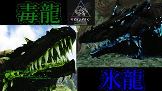 【MOD】翼竜決戦！「ポイズン・ドレイク」VS「フロスト・ドレイク」【Annunaki Genesis】【Ark: Survival Evolved】【ARK：The Center】