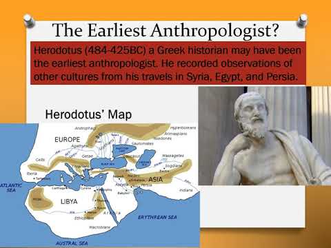 What did much of the early feminist anthropological studies focused on?