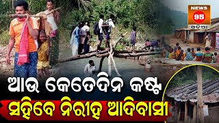 ପୁଣି ଦୋଳାରେ ନଦୀ ପାର ହେଲେ ଆଦିବାସୀ ମହିଳା || Berhampur, Ganjam || News95 Odia