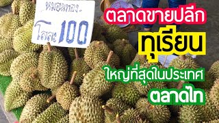 เดินชมบรรยากาศราคาทุเรียนที่ตลาดขายปลีก | ตลาดไท | ตลาดขายผลไม้ที่ใหญ่ที่สุดในประเทศ!!!