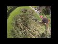 Day in the life of a tree surgeon. No heroics