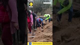 Landslide hits Ecuador's Andean region I WION Shorts