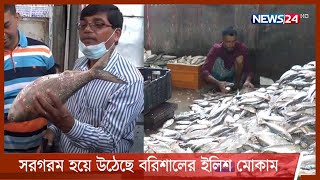 সরগরম হয়ে উঠেছে বরিশালের ইলিশ মোকাম | জেলেদের জালে ধরা পড়ছে কাঙ্খিত রুপালি ইলিশ 26Oct.21