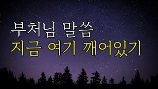 지금 여기 깨어있기 ㅣ부처님 말씀 과거나 미래가 아닌 현재에 머무르기 ㅣ붓다 석가모니