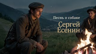 Paul Polotsk - Песнь о собаке (С. Есенин) - Ver.1