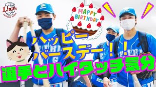 【金子侑司選手バースデーヒット＆勝利】ライオンズの選手と勝利のハイタッチ気分！【2022/4/24 L6-3E】