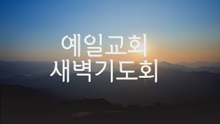 예일교회 Yeil Church 21.12.30. \