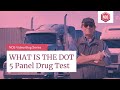 What Is The DOT 5 Panel Drug Test? (Department Of Transportation Drug Testing)