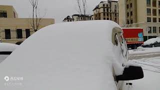 昨晚青岛下的大雪，雪还在下