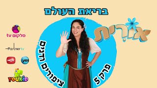 בריאת העולם | היום החמישי | אורית בסיפורי בראשית