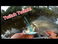 Autumn Bass Fishing — Slow twitched Jerkbaits!