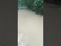 flood in bangladesh #liveyourbestlife #shorts #flood#sylhet#sunamgong#jagannathpur