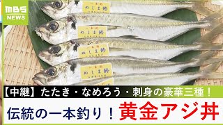 沼島産「黄金アジ」伝統の