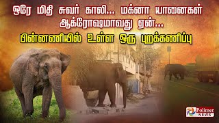 ஒரே மிதி சுவர் காலி... மக்னா யானைகள் ஆக்ரோஷமாவது ஏன்... பின்னணியில் உள்ள ஒரு புறக்கணிப்பு..!