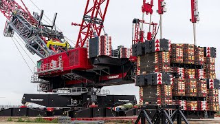 Crane Of The Day  Episode 8 |  Mammoet FOCUS30