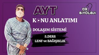 Dolaşım Sistemi | 5. Ders Lenf ve Bağışıklık Sistemi 2| #2025tayfa