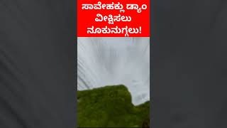 ಸಾವೇಹಕ್ಲು ಜಲಾಶಯ ವೀಕ್ಷಿಸಲು ನೂಕುನುಗ್ಗಲು | SAVEHAKLU DAM | SHIMOGA | 17-07-2022