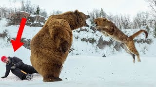 Wild Animals That SAVED Human Lives!